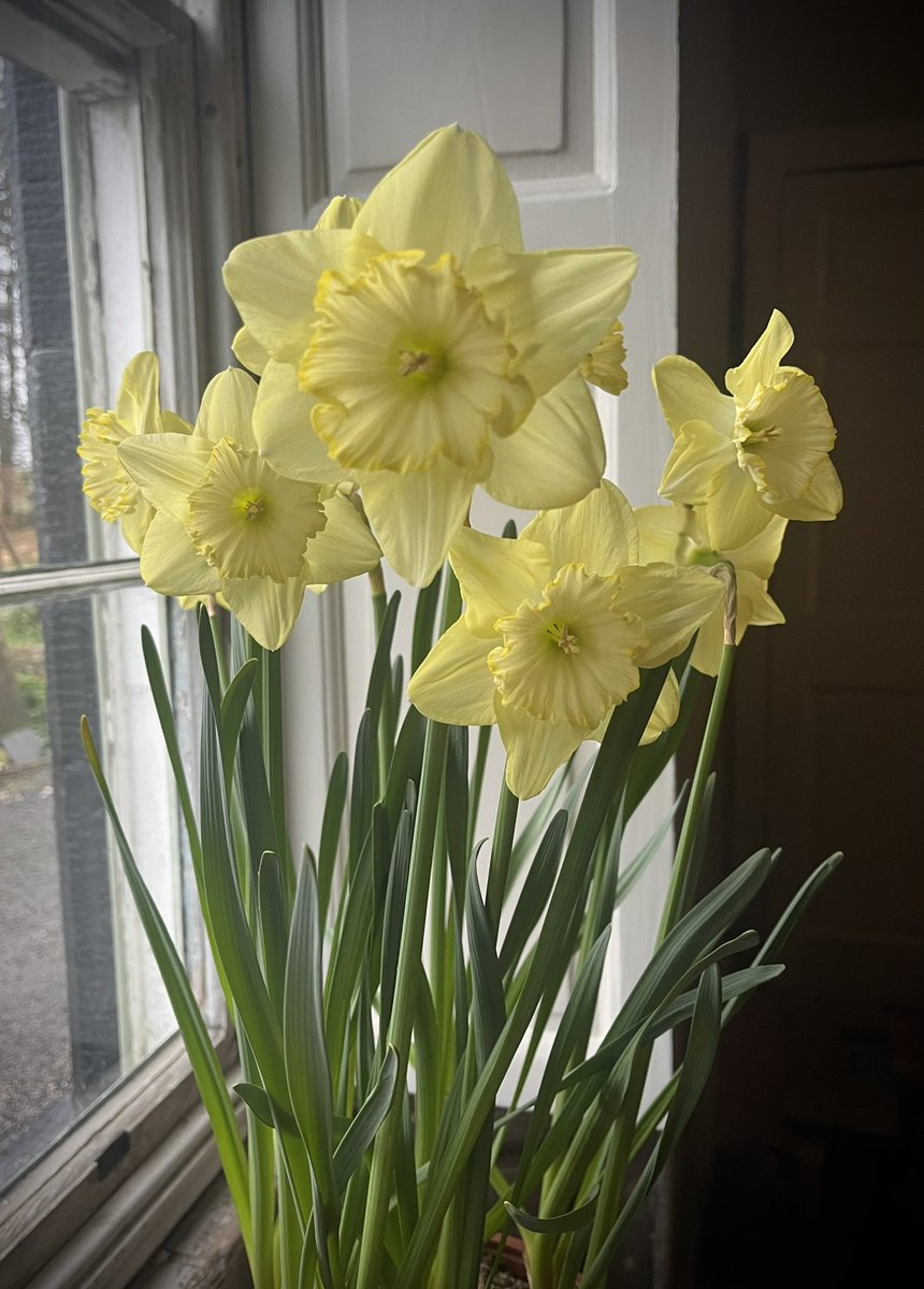 William Kay 🇺🇦 tweet media