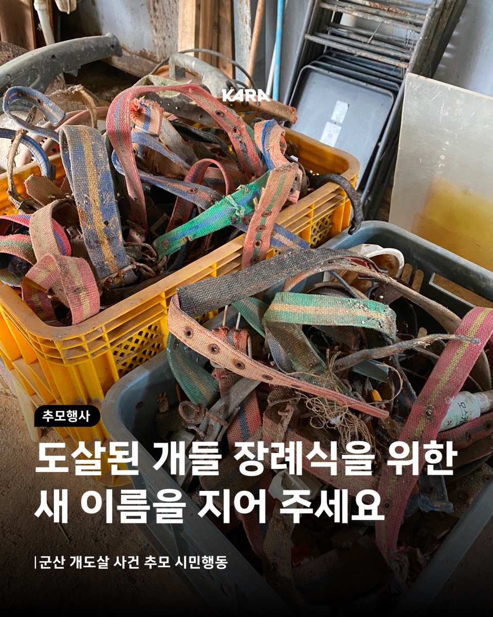 동물권행동 카라 tweet media