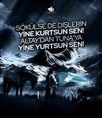 sonhun23's tweet photo. Ey Türk Milleti, titre ve kendine dön! https://t.co/ZPauiY3Yh2
