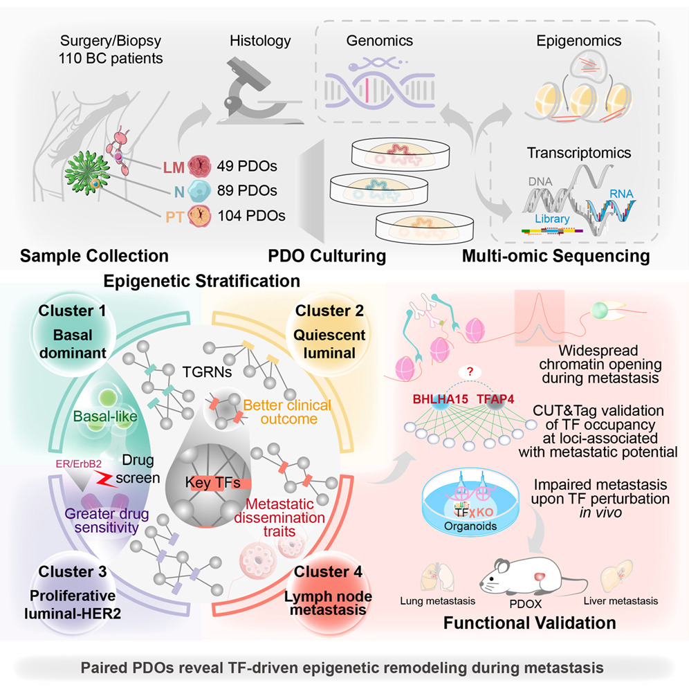 Epigenome Technologies Inc. tweet media