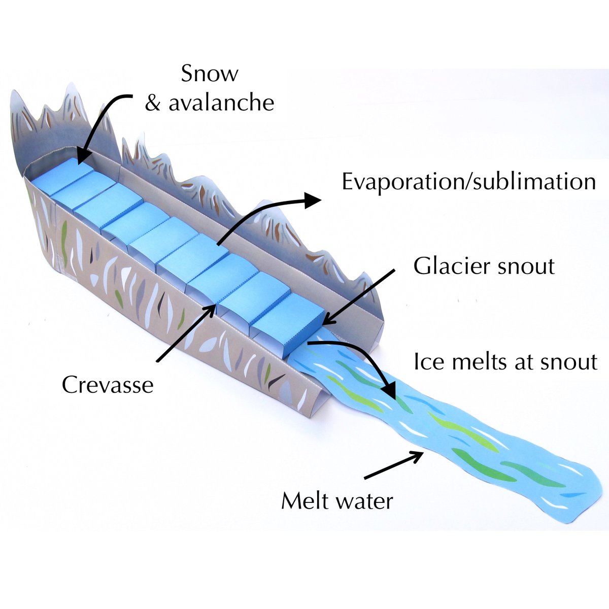 Origami Organelles tweet media
