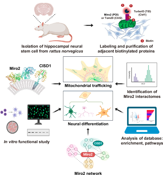 Communications Biology tweet media