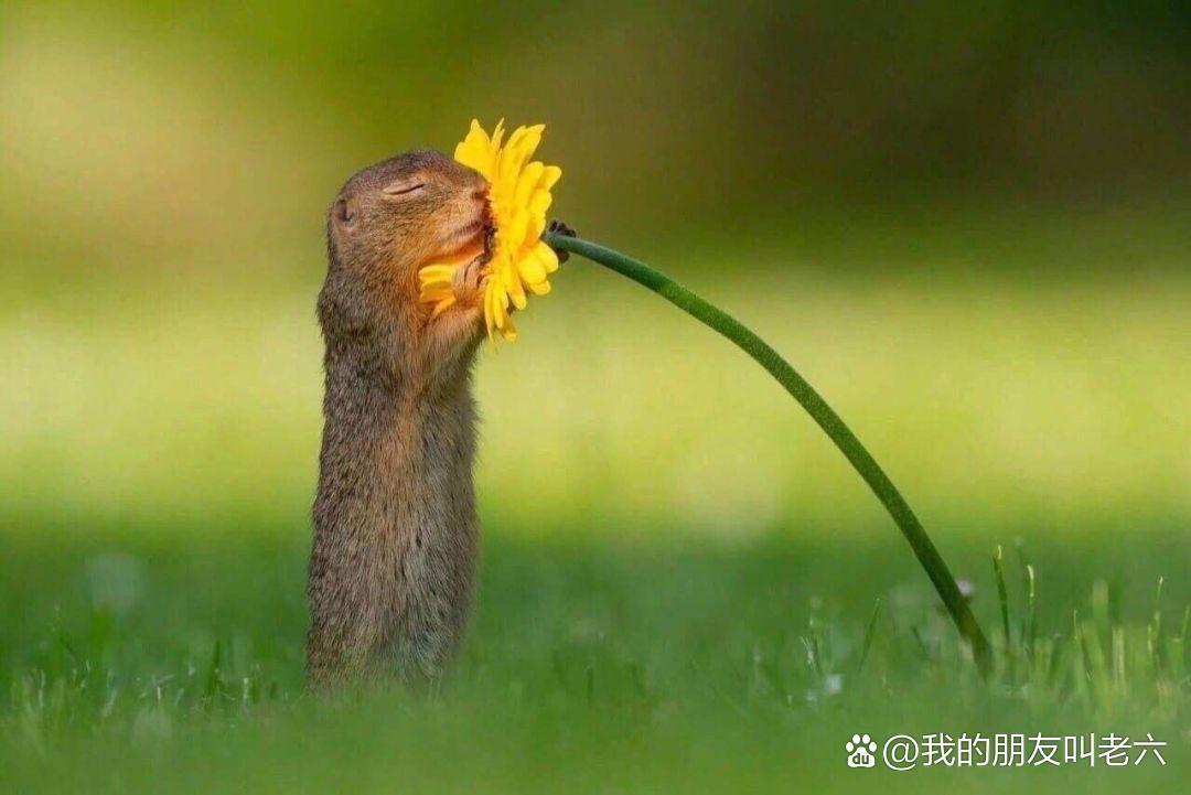 erhan-61@hotmail.com tweet media