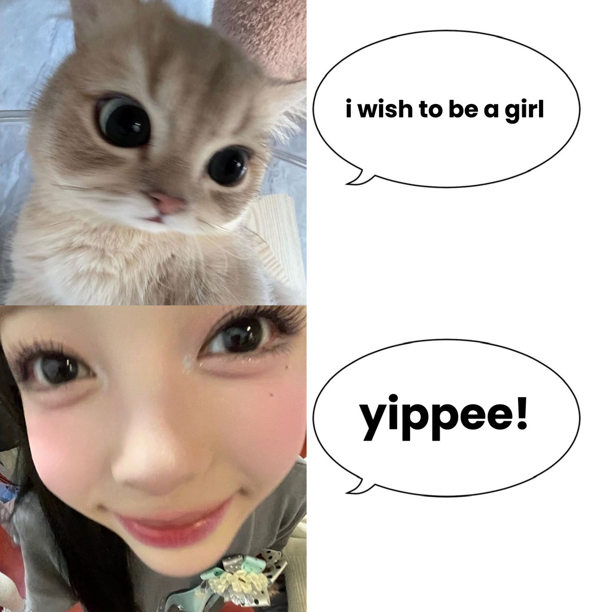 jiwoo pics (@jiwoopicts) on Twitter photo 