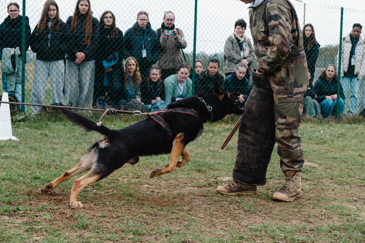 2e régiment de dragons tweet media