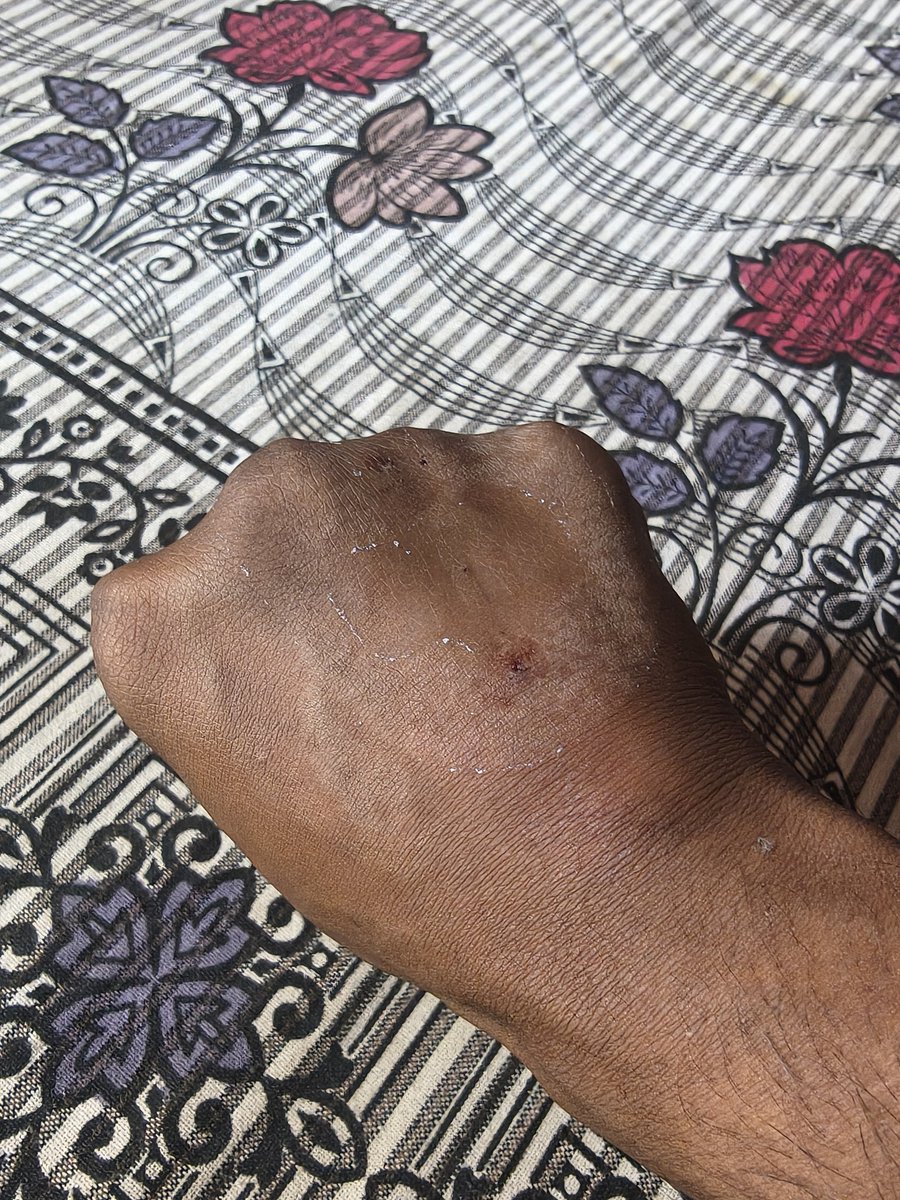 Dev 🚀 tweet media