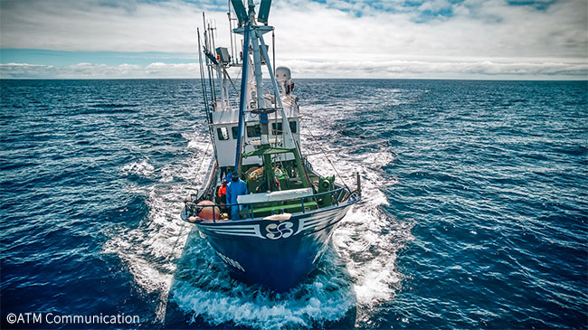 MSCジャパン tweet media