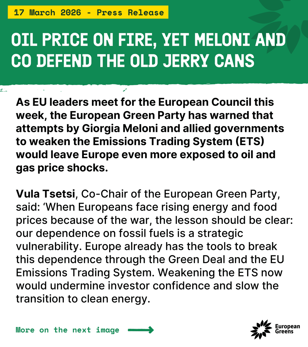 European Greens tweet media