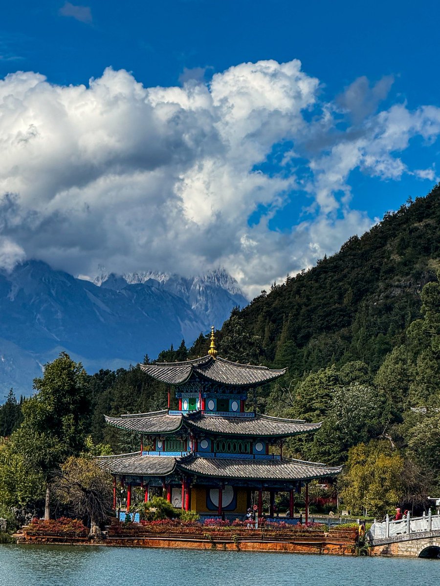 Globe Tucker tweet media