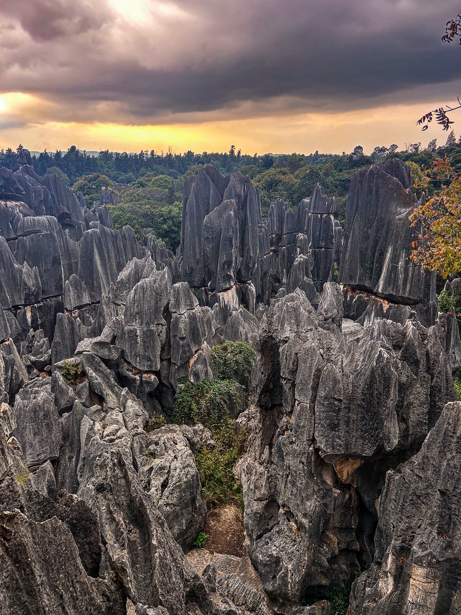 Globe Tucker tweet media