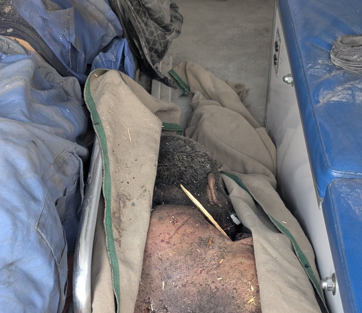 Noor ahmad ⚡ tweet media