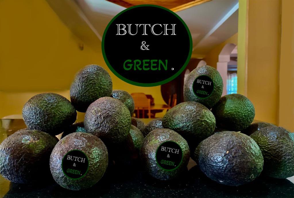 farm_impact's tweet photo. This is not an avocado.  
   This is emotional support fruit wearing green camouflage.
#Hassavocado https://t.co/pmVp4b4u5d