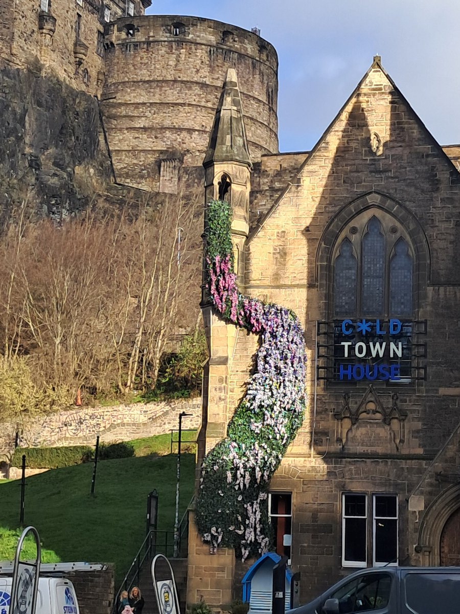 The Captain tweet media