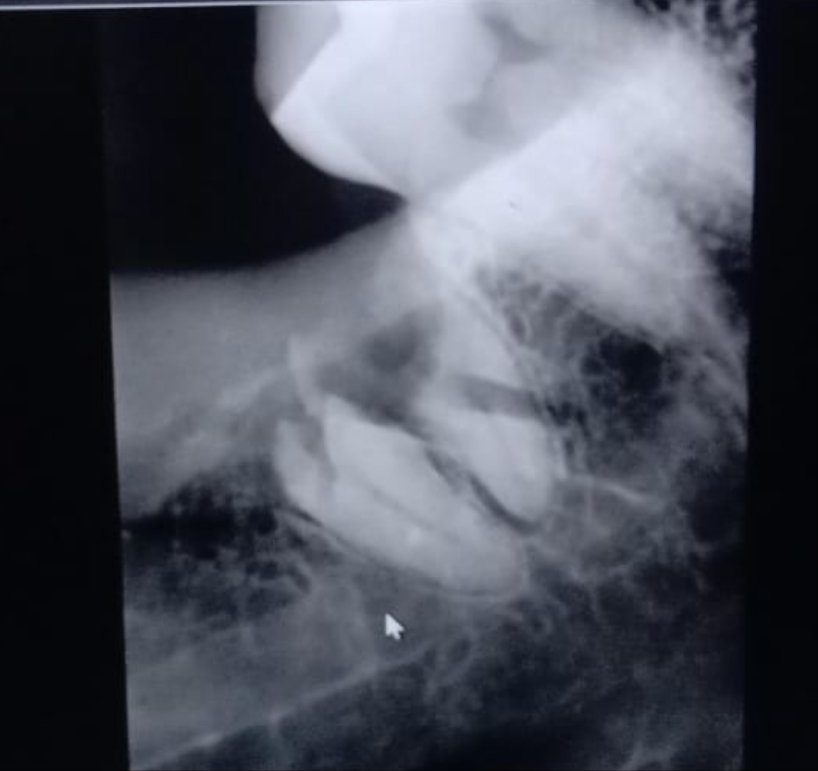 Exodontist tweet media