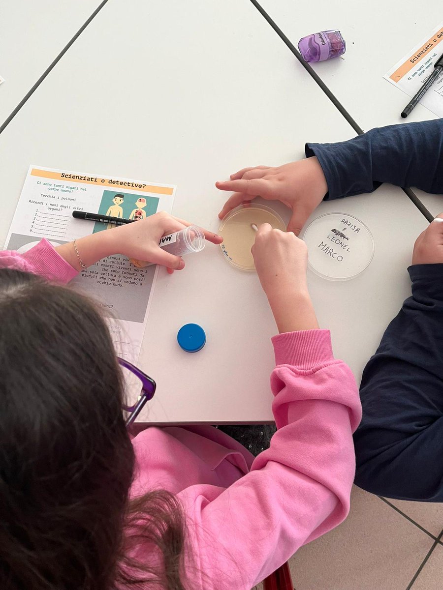 Dipartimento di Medicina Molecolare DMM - Unipd tweet media