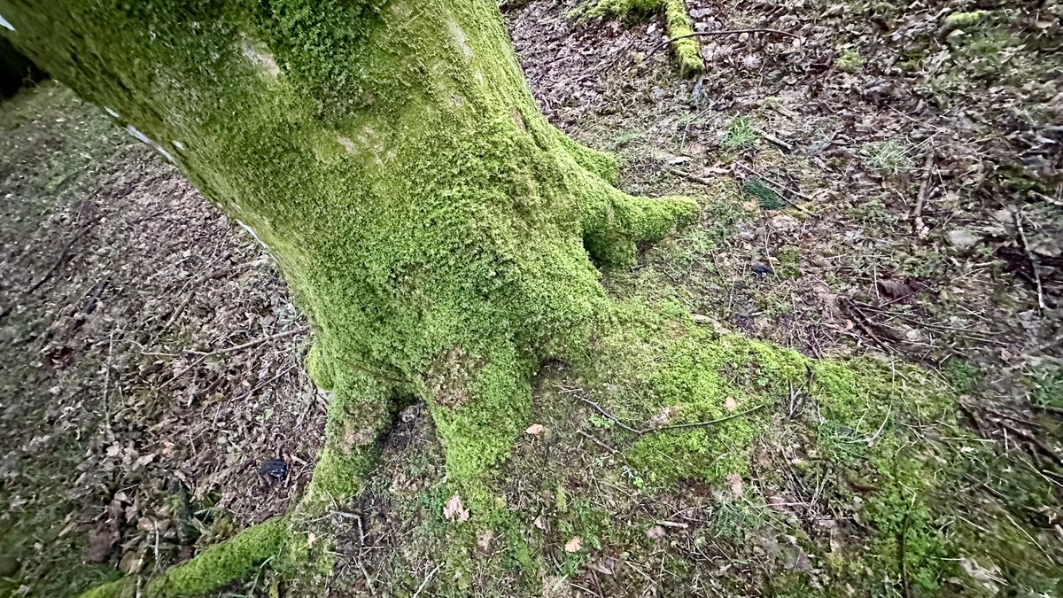 Jeff of the Unpleased Wimmin tweet media