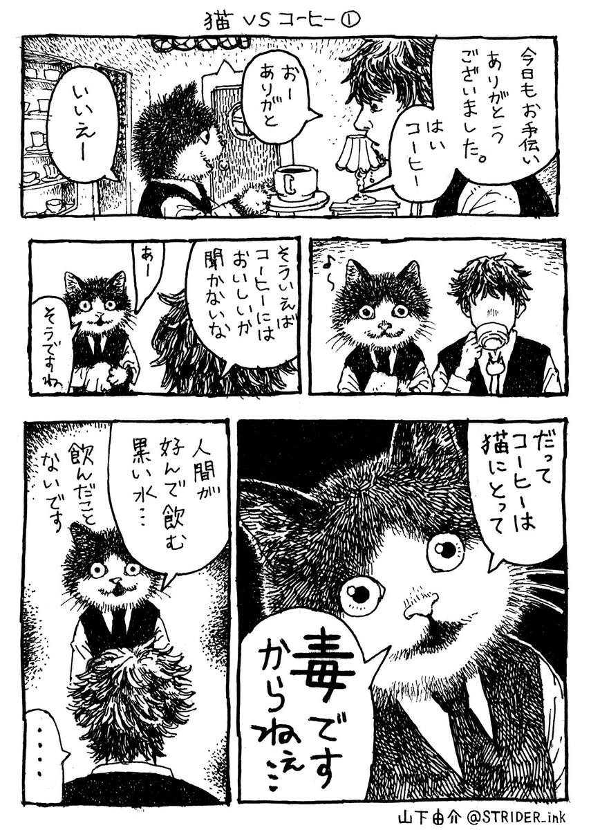 ✑山下由介♕ tweet media