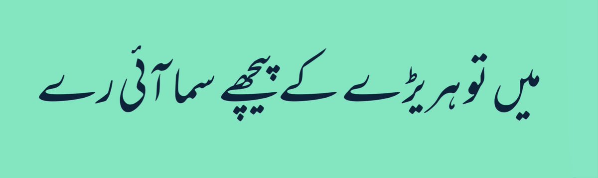 Cat Fiqh | فقه القطط (@catfiqh) on Twitter photo 