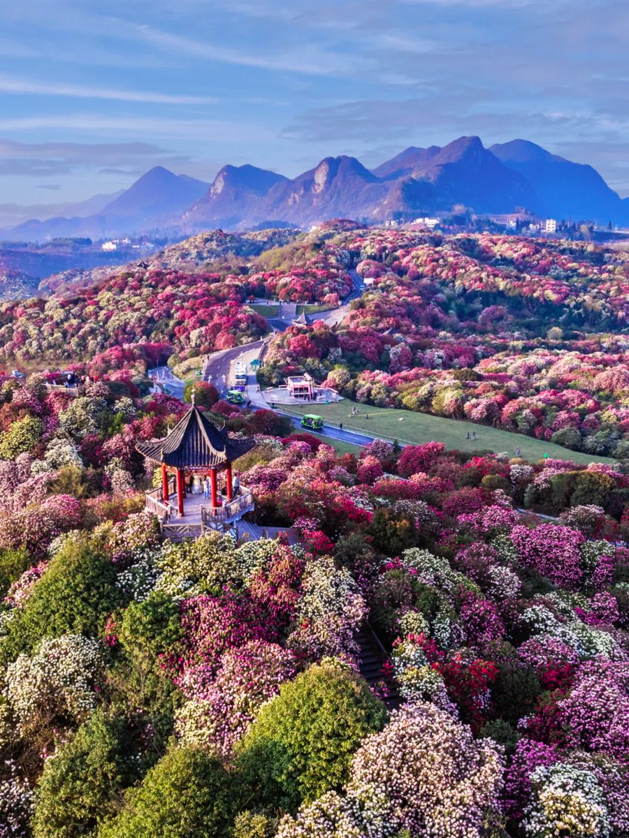 章筱贡 tweet media