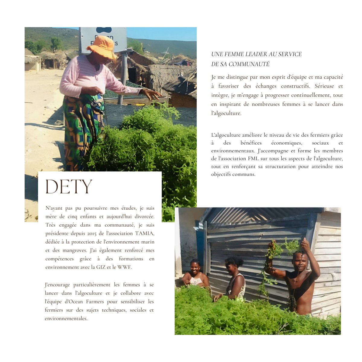 OceanFarmers's tweet photo. 🌊 La force d'une femme leader au service de la communauté

#ODD5 #LeadershipFéminin #AutonomisationDesFemmes
#seaweedfarming #seaweedrevolution #blueeconomy https://t.co/GFAwnLTlxJ