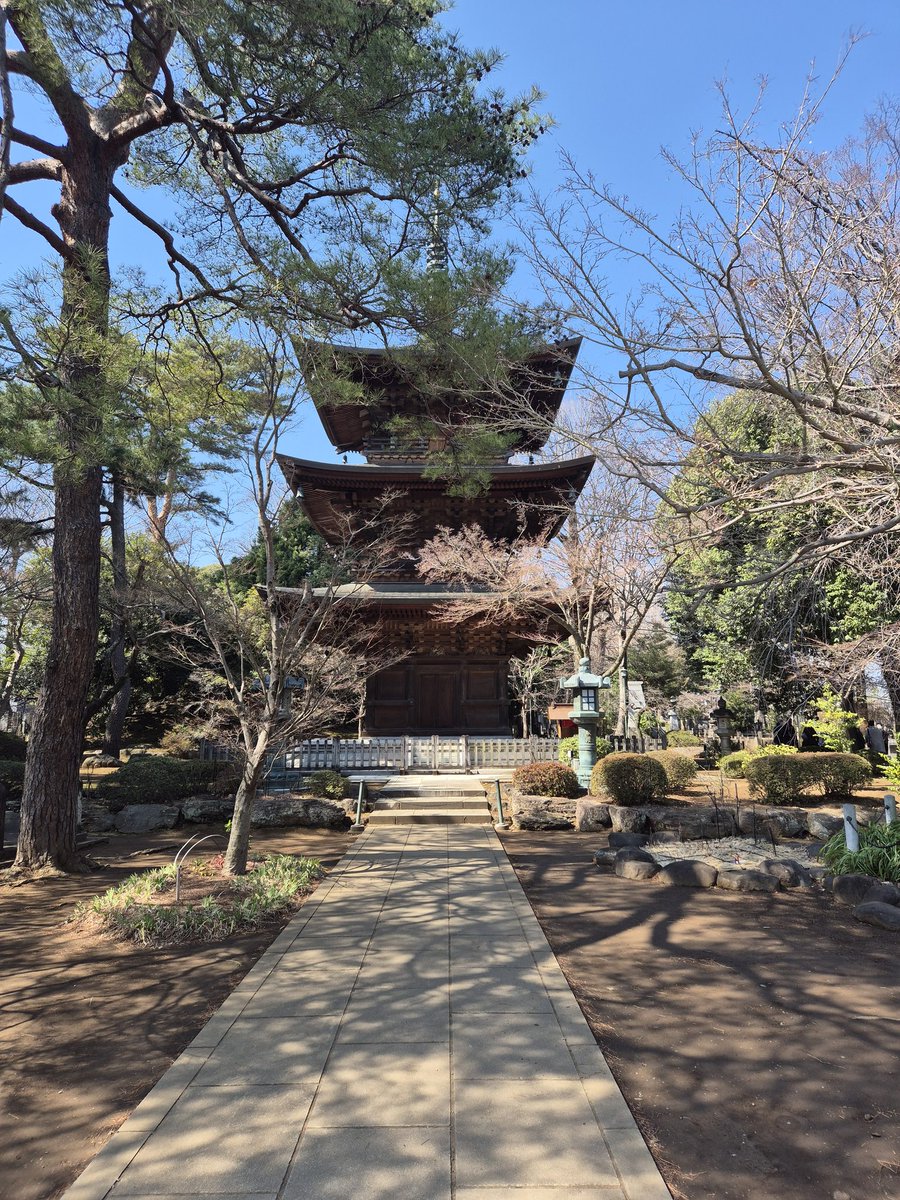 Lucas Dallarosa tweet media