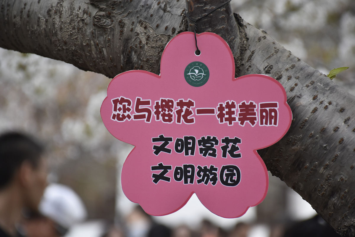 mary dookun tweet media