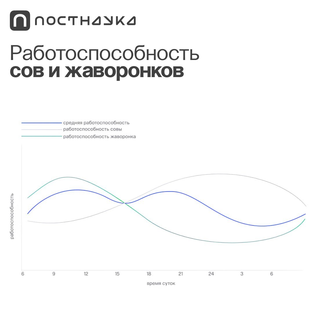 ПостНаука tweet media