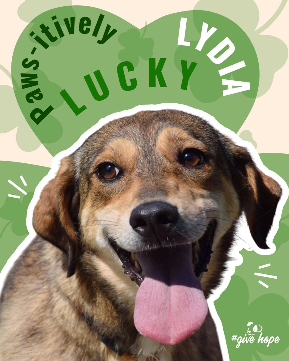 ROLDA Org tweet media