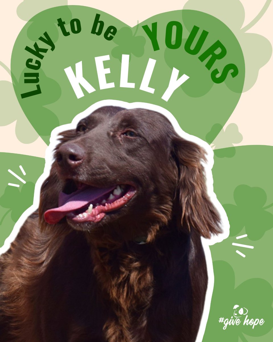 ROLDA Org tweet media