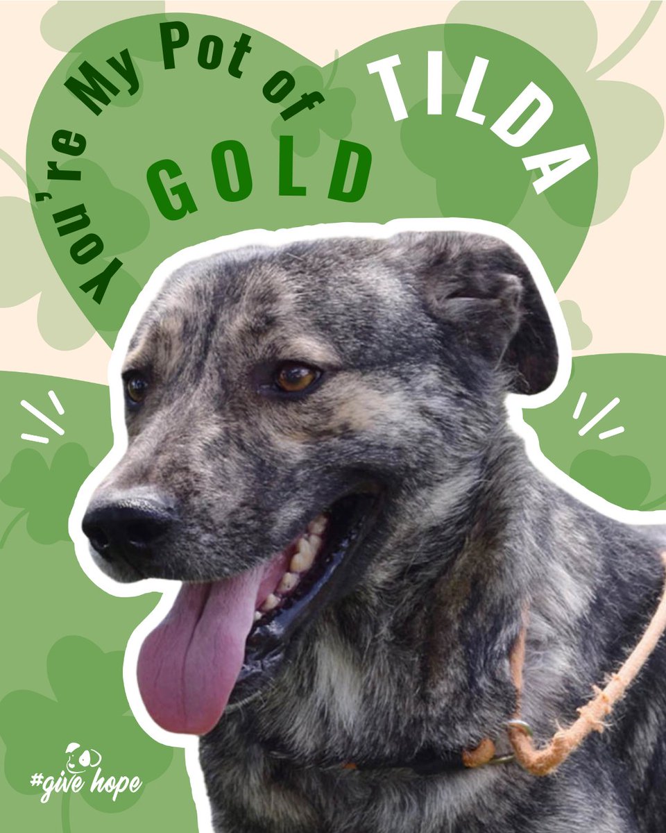 ROLDA Org tweet media