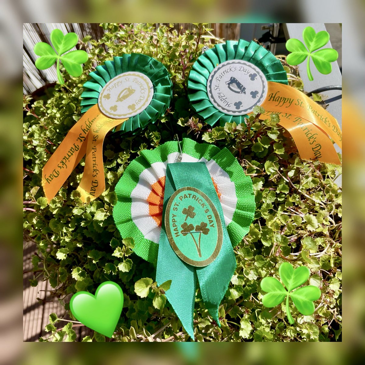 1916 Relatives Association - An Cumann Gaolta 1916 tweet media