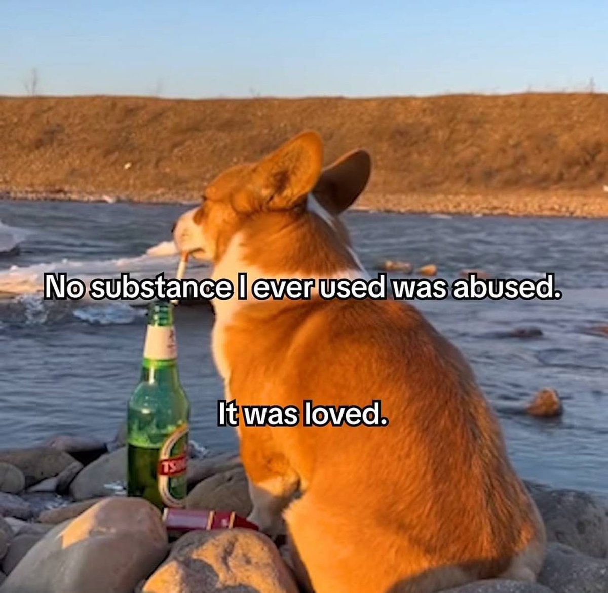 ☥ Yuge Bigly-servant of the Sacred Space🌹 tweet media