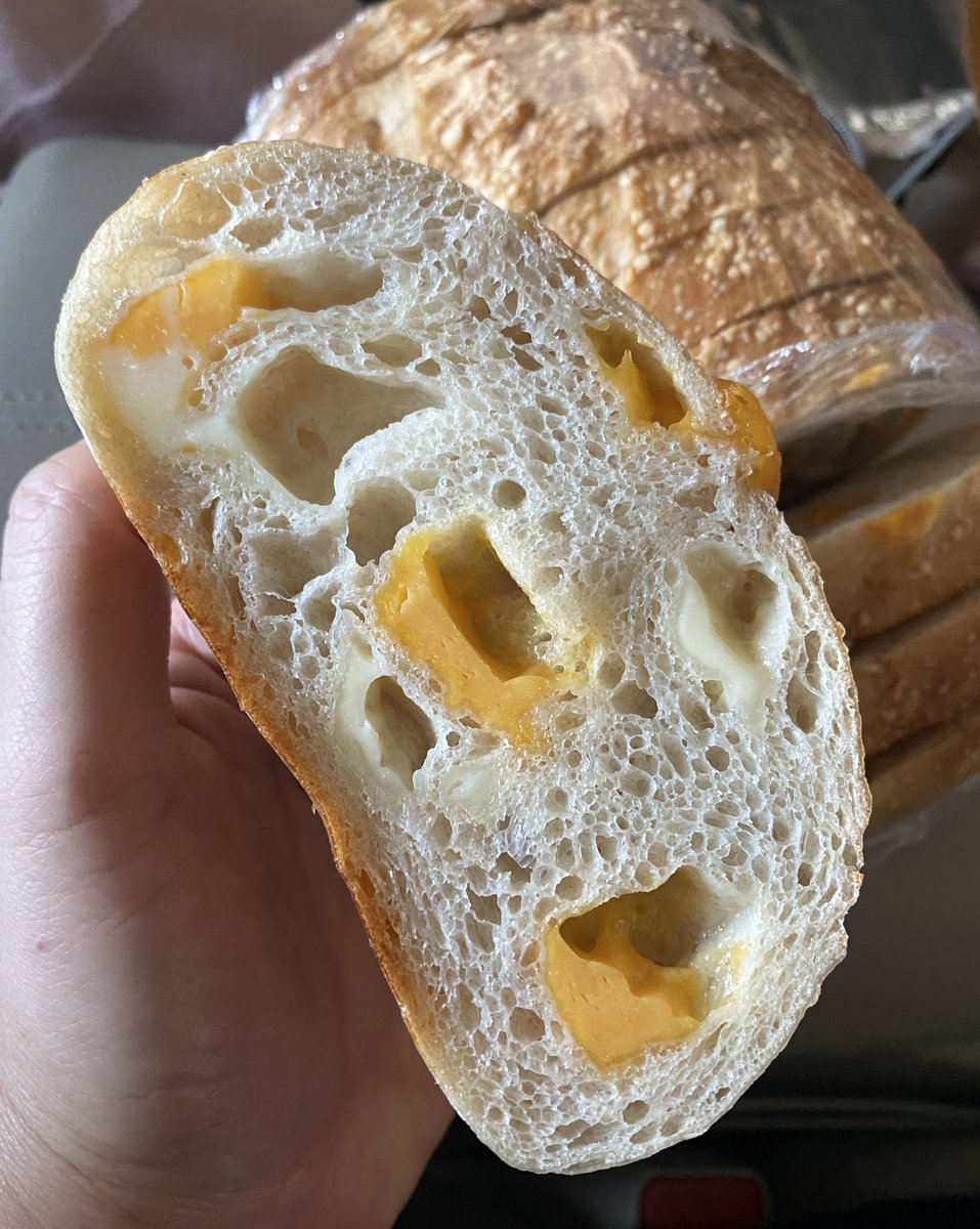 NᵔoᵔKkY(=^ᴥ^=) tweet media