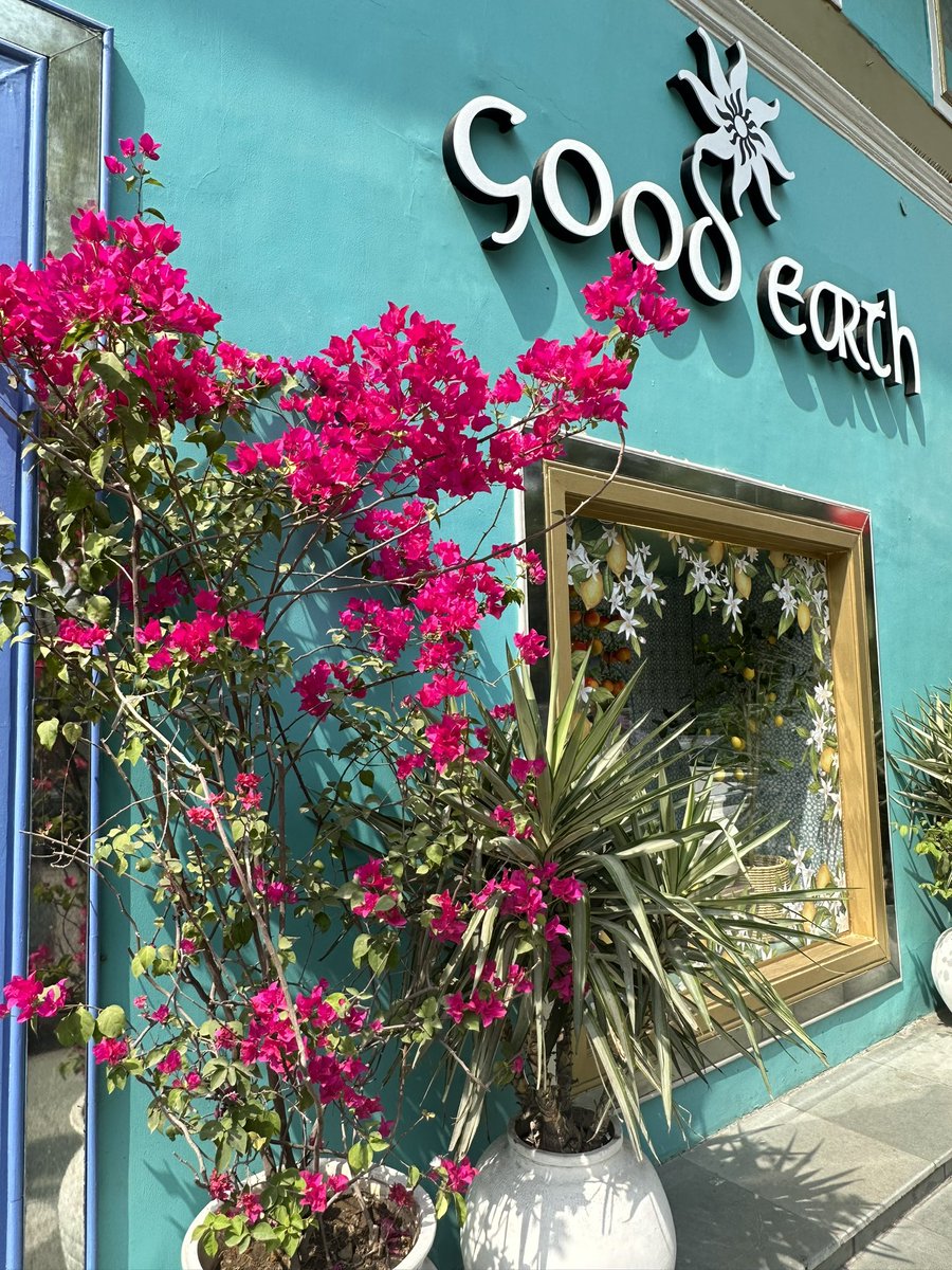 Iwaki_Nikkei's tweet image. この色の組み合わせが大好き💕

これぞインド，これぞGOOD EARTH‼️

サイコー！

#カーンマーケット
#GOODEARTH