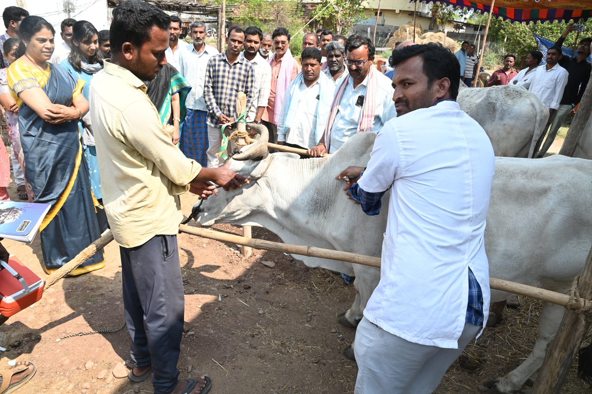 Collector Kumuram Bheem Asifabad tweet media