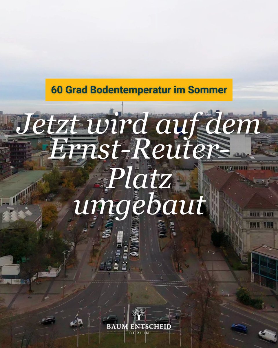 Baumentscheid tweet media