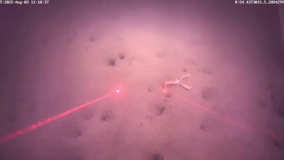 Fishing News Live tweet media