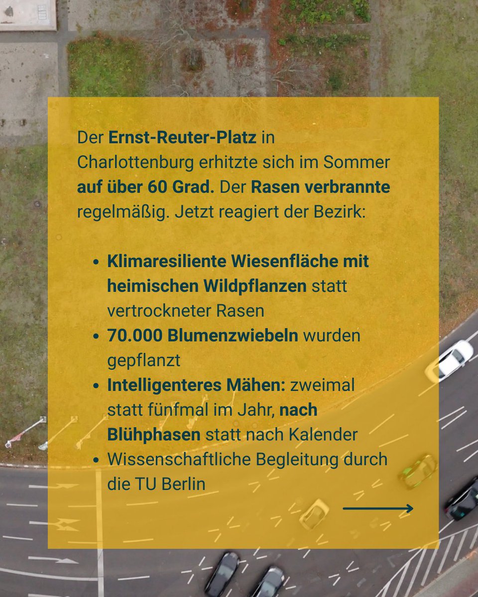 Baumentscheid tweet media