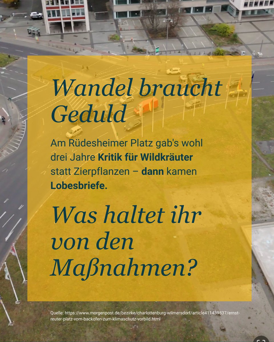 Baumentscheid tweet media