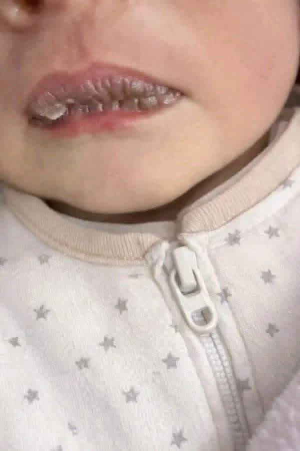 Dr.SAEB_FROM_GAZA tweet media