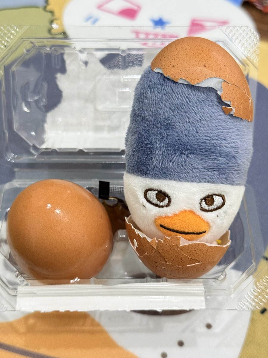 행복한 또리 🐣⭐️ tweet media