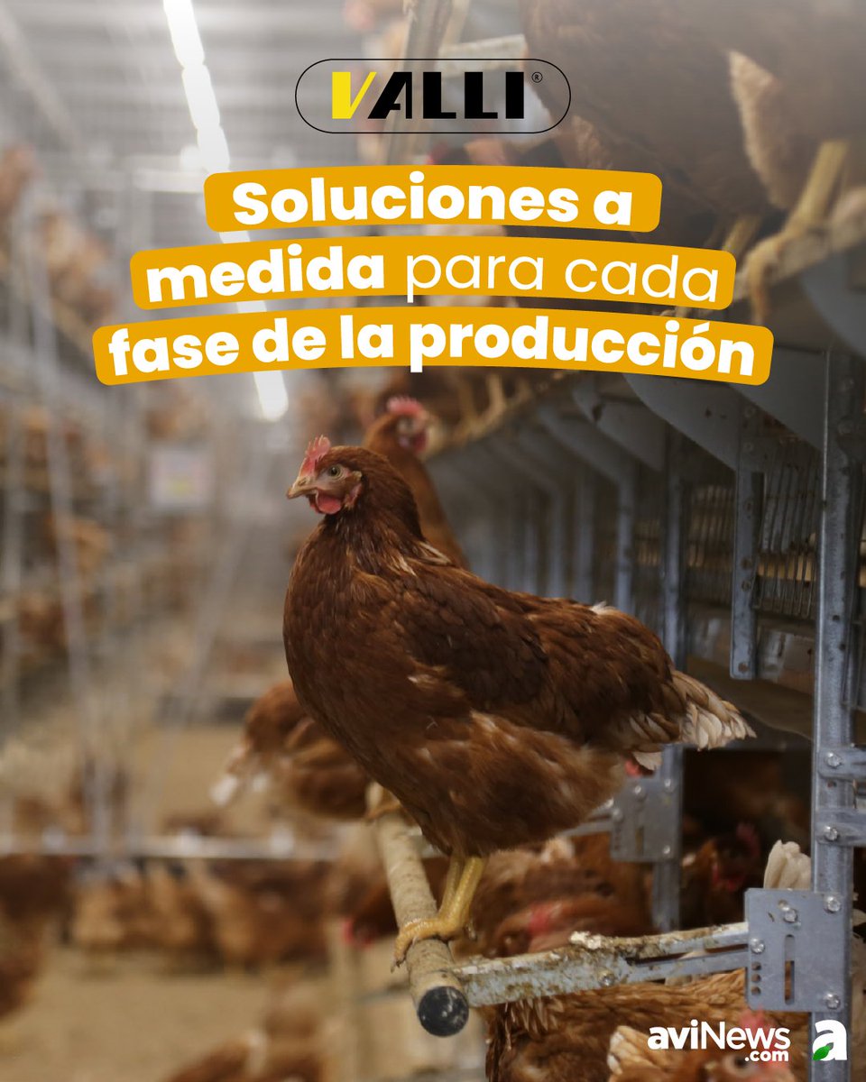 aviNews España - Revista tweet media