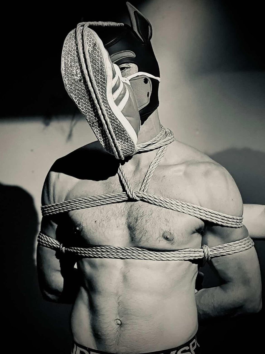 Yogo The Kinkster 🔜 where to? 🤔 tweet media