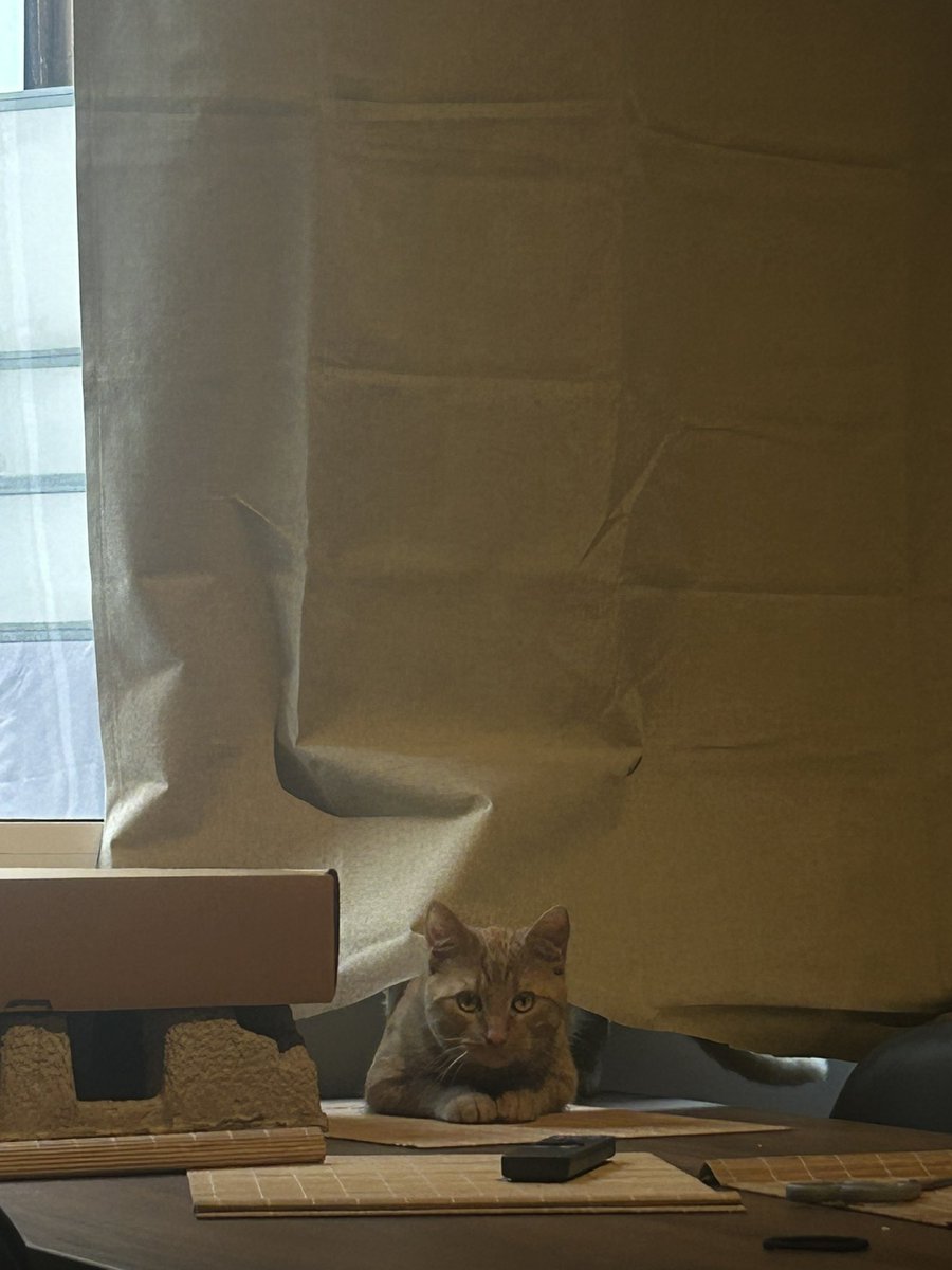 PhathanaP's tweet photo. Toffee 🧡 https://t.co/xTp3KSsnOq