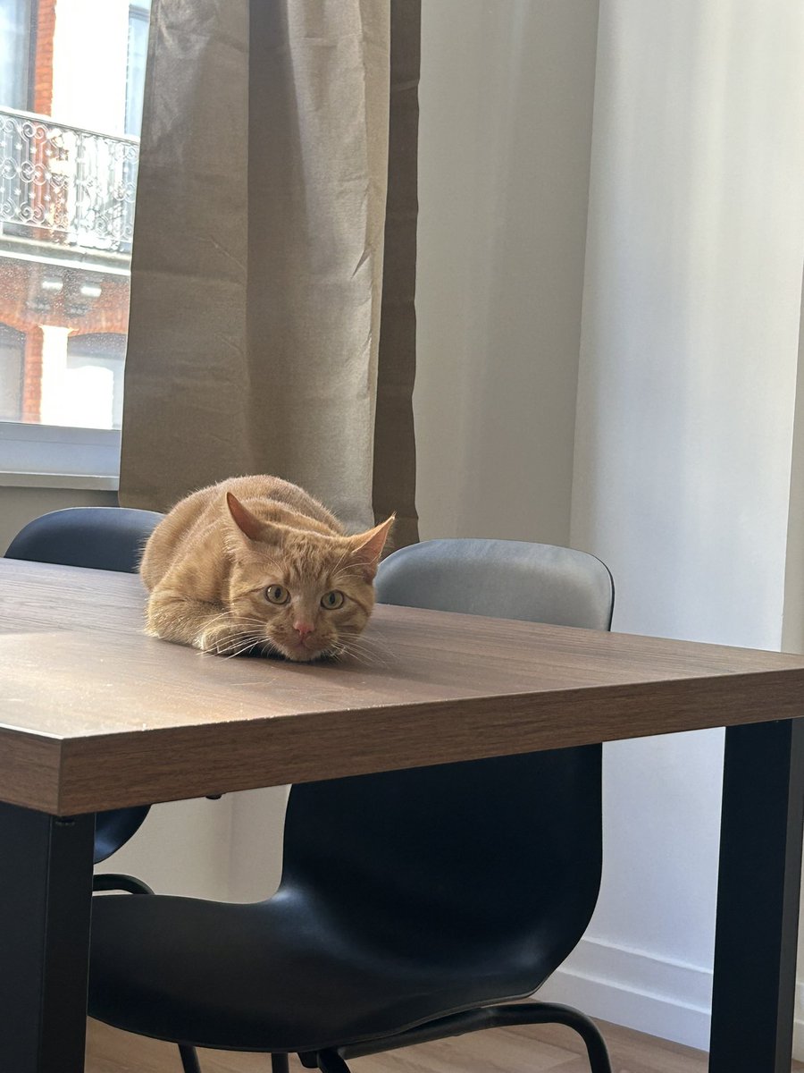 PhathanaP's tweet photo. Toffee 🧡 https://t.co/xTp3KSsnOq