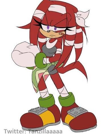 Knuckles the Echidna tweet media