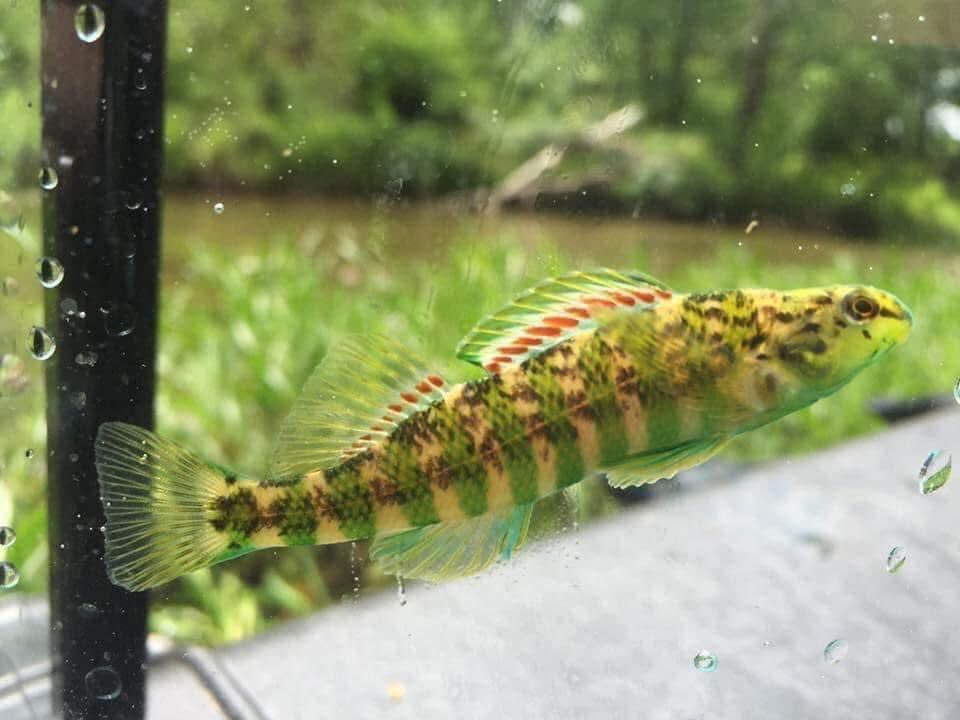 Kyler Hecke tweet media