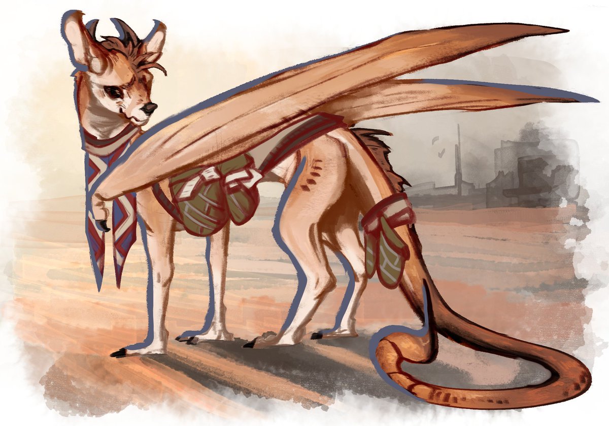 Ash Scarce tweet media