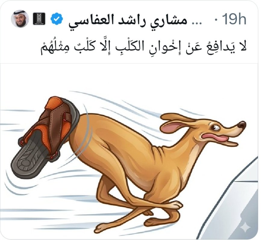 محمد المختار الشنقيطي tweet media