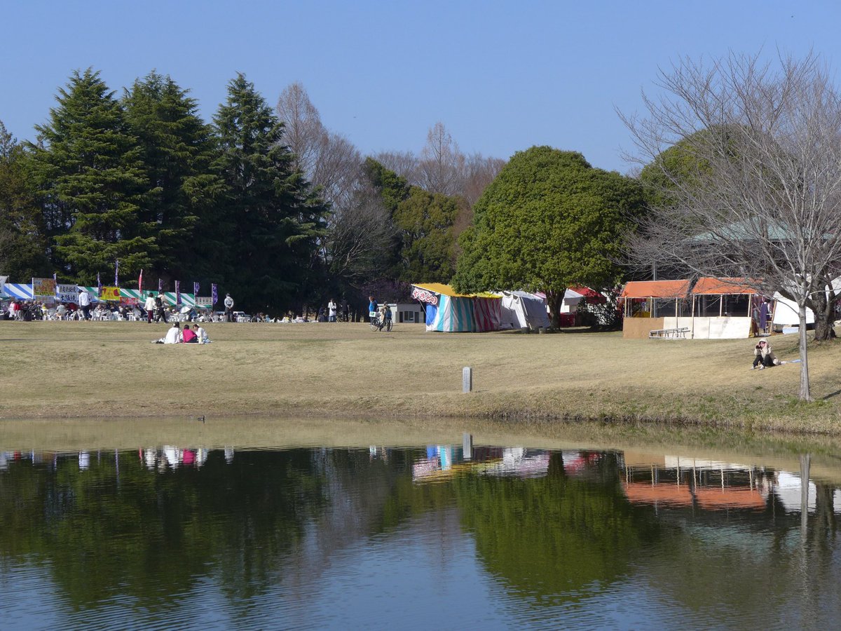 1000mi0's tweet photo. SEAGULL CF100
古河公方公園(古河総合公園)
屋台が沢山出店してます。
#古河公方公園 #古河市 #花桃 #SEAGULL #CF100 #上海海鸥数码照相机有限公司 https://t.co/weWbow7vG9